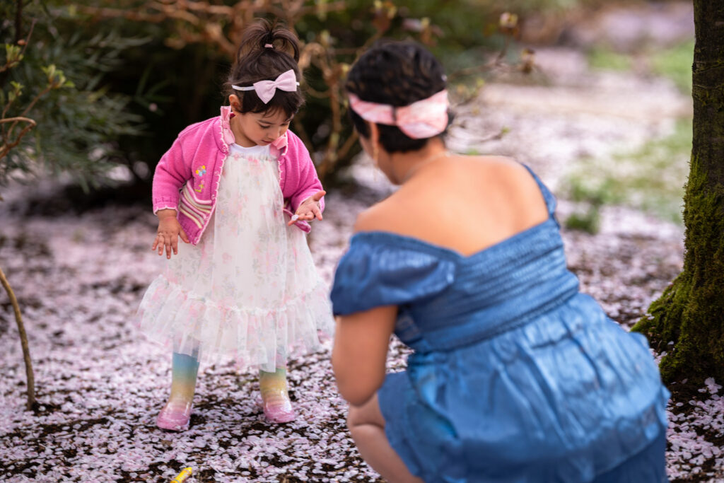 Two-year old girl observing cherry blossom petals on her fingers.