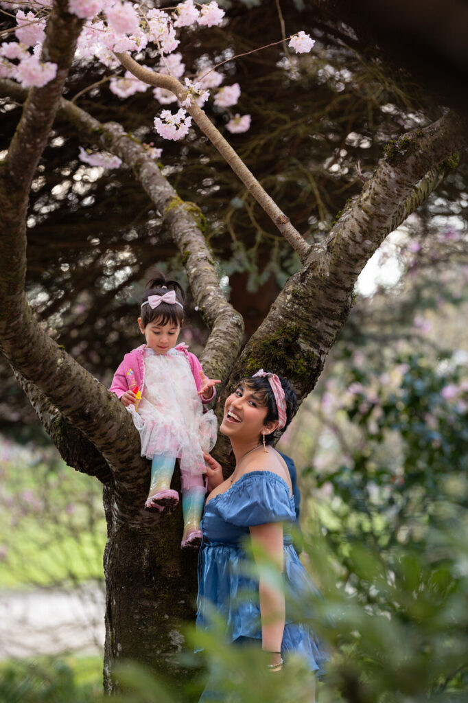 Little girl sitting on a cherry blossom tree and mom smiling at the camera during their family photoshoot in Bellevue, Washington.