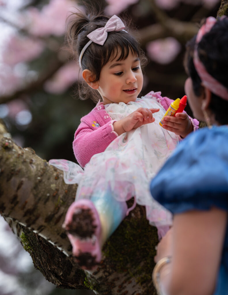 Little girl sitting on a tree admiring her crayons against the backdrop of cherry blossom branches.